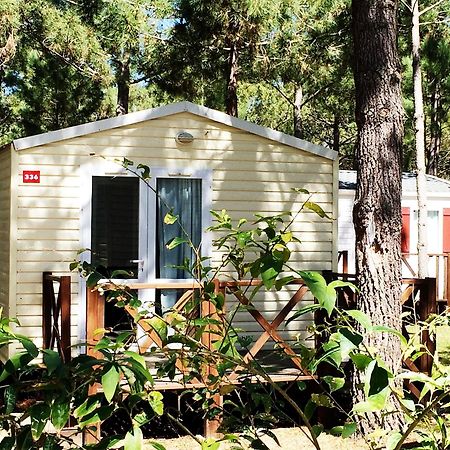 Orbitur Sitava Milfontes Bungalows - Caravan Park Odemira Eksteriør billede